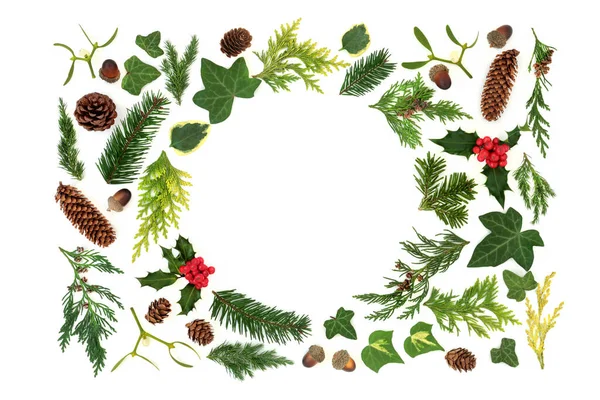Přírodní Zimní Slunovrat Vánoce Nový Rok Pozadí Ohraničení Rostlinné Listy — Stock fotografie