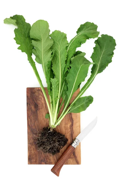 緑の葉とオリーブウッドボード上のナイフで土の根のボールと新鮮なルッコラの植物 免疫系は抗酸化物質 ビタミンやミネラルの高い健康食品を増加させます フラットレイアウト トップビューでは — ストック写真