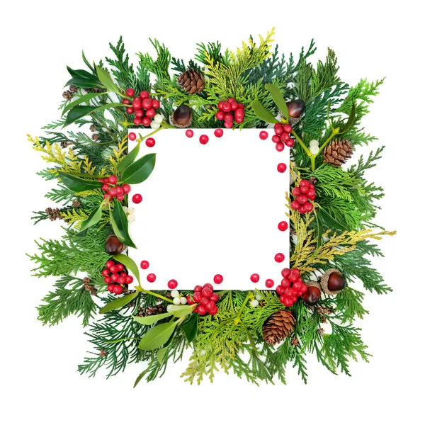 冬のホリー 緑と緩い赤い果実のクリスマスの背景 概要白色の四角形の境界組成 コピースペース付きのデザイン要素 トップ表示 — ストック写真