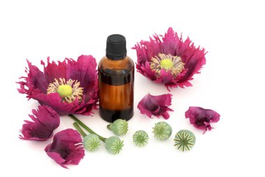 Haşhaş çiçekleri ve ilaç şişeli tohum kafalar. Doğal tıpta kabızlık, astım, öksürük, ishal ve uykusuzluk tedavisi için kullanılan tohumlar. Tohum aynı zamanda gıda endüstrisinde de kullanılır. Beyaz üzerine.