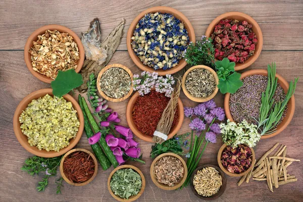 Alternatív Növényi Gyógyszer Gyűjtemény Gyógynövények Virágok Tálakban Laza Természetes Egészségügyi — Stock Fotó