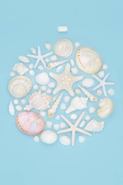 Deniz kabuğu soyut Noel ağacı süslemesi. Güney yarımkürede tatil sezonu için alternatif kompozisyon. Düz konum, üst görünüm, kopyalama alanı.