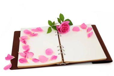 Deri kaplı defter. İçinde pembe gül ve taç yaprakları olan boş sayfalar var. Sevgililer Günü konsepti için aşk mektubu. Beyaz arka planda. Boşluğu kopyala.