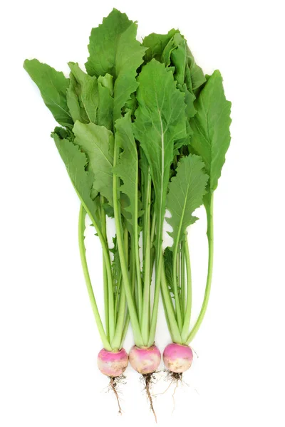 Fresh Organic Turnip Vegetables Leaves Roots Digestive Health Immune Boosting — Stock Photo, Image