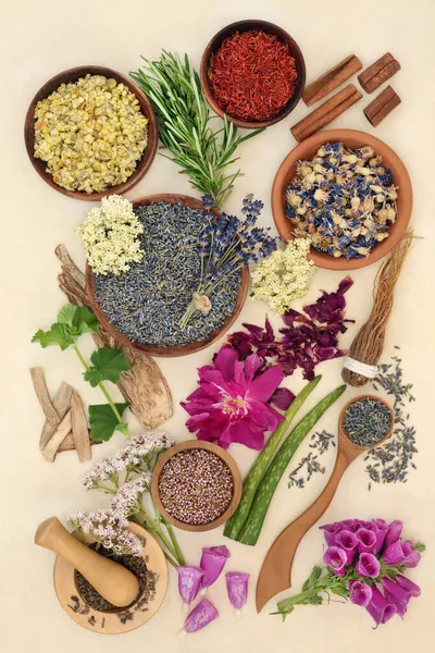 Healing herbs and flowers for health and wellness for alternative plant based herbal medicine remedies. Natural health care concept. Top view, flat lay on cream background.