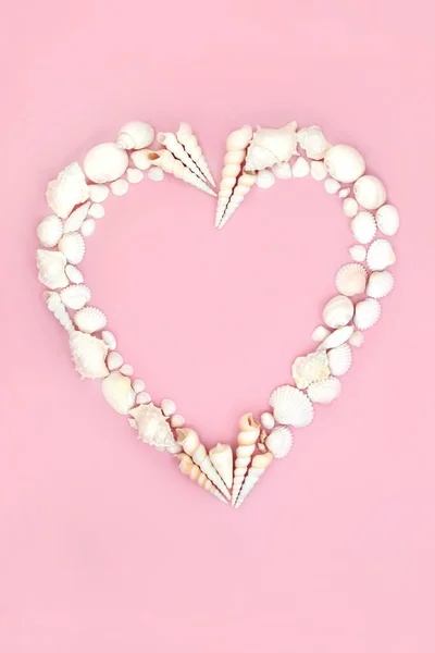 Hartvormige Schelpenkrans Met Witte Schelpen Romantisch Conceptsymbool Voor Valentijnsdag Trouwdag — Stockfoto