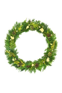 Sedir, ökseotu ve sarmaşık çelengi beyaz arka planda. Kış gündönümü, Noel ve Yeni Yıl için çevre dostu yeşil kavram.