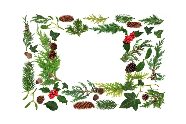 Kerstmis Natuurlijke Europese Flora Achtergrond Frame Wit Feestelijke Winter Nieuwjaar — Stockfoto