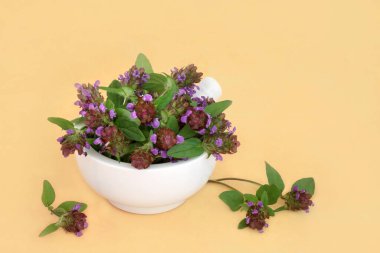 Kendi kendine iyileşen bitkiler havanda doğal alternatif bitkisel ilaçlar. İshal, kolik, mide ağrısı, mide iltihabı, herpes ve osteoartrit tedavisinde kullanılır. İltihap önleyici ve ağrı kesici.. 