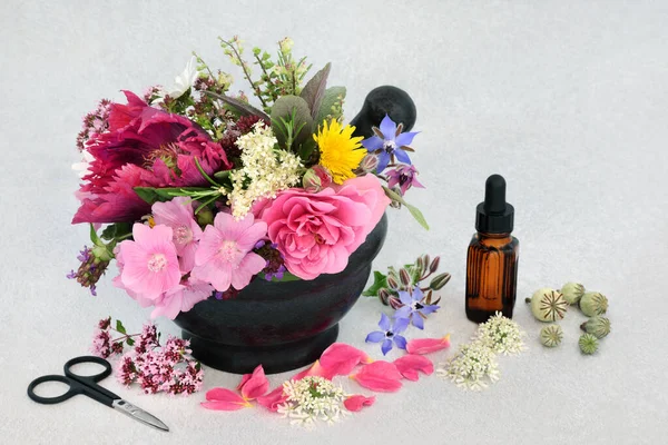 Natürliche Heilkräuter Und Blüten Einem Mörser Mit Ätherischem Für Pflanzliche — Stockfoto