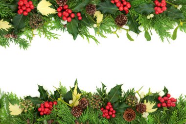 Doğal kış gündönümü ve Noel arkaplanı Holly, sedir çiçeği, ökseotu, kozalak ve sarmaşık yapraklarıyla beyaz arka planda, kopyalama alanı. Üst Manzara. Düz yatıyordu.