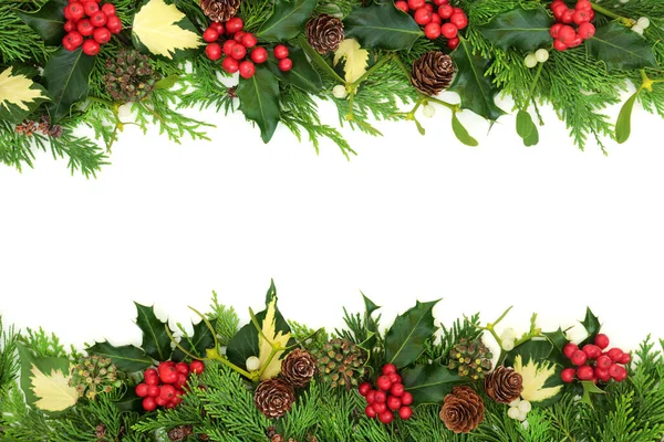 Natural Winter Solstice Christmas Nature Background Border Holly Cedar Cypress — Stock Photo, Image