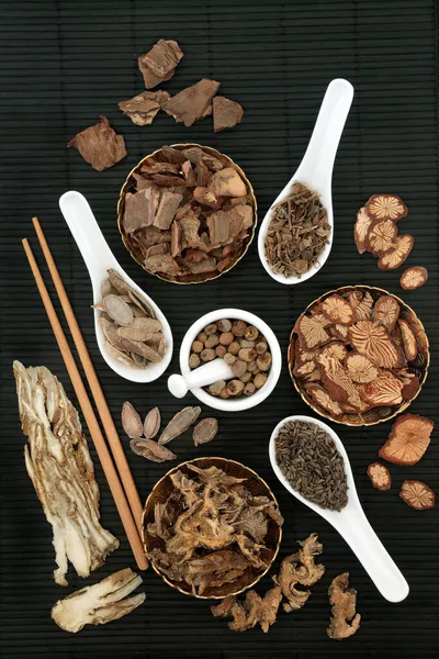 Chinese Plant Based Herbs Spice Natural Health Care Alternative Herbal — Stock Photo, Image