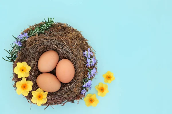 鸟巢里有新鲜的蛋 有春天的水仙花和迷迭香 在淡蓝色背景下 为健康的有机早餐食品概念提供最少的春天配料 顶视图复制空间 — 图库照片
