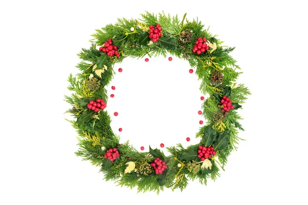 ホリー ルーズベリー ミステリー 杉の白い背景でお祝いの休日の季節のための環境に優しいクリスマスの花輪 クリスマス 新年のための緑の概念を行く — ストック写真