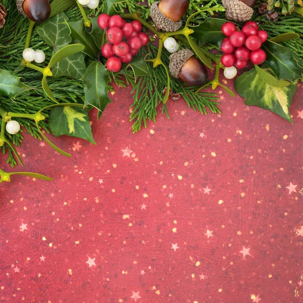 英語のホリー ミステリー 杉のヒノキやアコーンと冬の環境に優しい背景デザイン クリスマスと新年の休日の季節のための自然な組成 トップ表示 — ストック写真