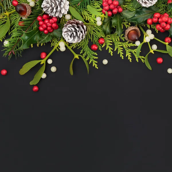 Weihnachten Winter Und Neujahr Umweltfreundliche Hintergrund Mit Stechpalme Tanne Zeder — Stockfoto