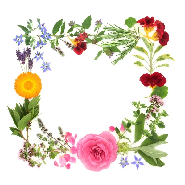 Herb and flower wreath for natural healing plant medicine remedies, seasoning and food decoration. Natural herbal health care concept on white background. Flat lay, top view, copy space.