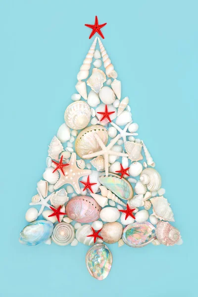 Σχεδιασμός Χριστουγεννιάτικου Δέντρου Συλλογή Από Κοχύλια Και Κόκκινους Αστερίες Μπλε — Φωτογραφία Αρχείου