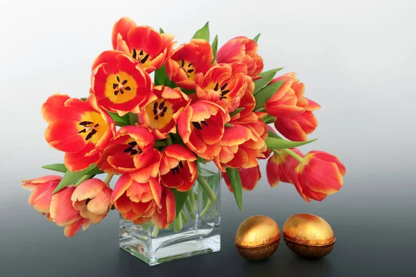 Złote Pisanki Czerwonymi Żółtymi Wiosennymi Kwiatami Tulipanów Gradientowym Szarym Tle — Zdjęcie stockowe