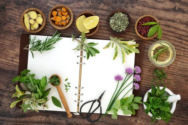 Spice Herb Collection Fresh Food Home Grown Local Produce Seasoning — Stockfoto