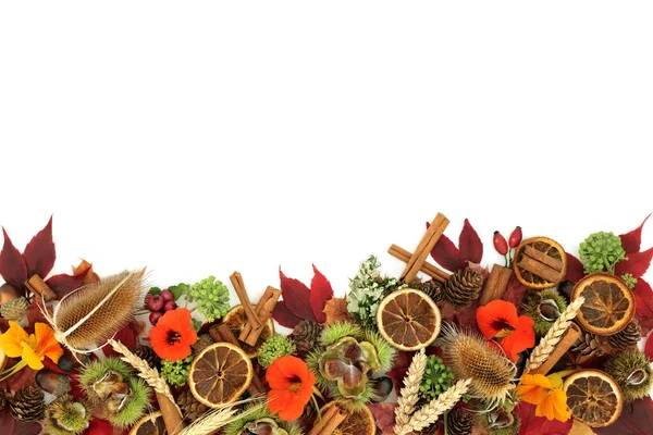 Harvest Festival Autumn Thanksgiving Background Border Composition Fall Traditional Natural — Stockfoto