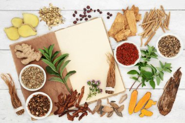 Bağışıklık sistemi için bitkisel ilaç hazırlama. Taze ve kurutulmuş otlar ve kenevir kaplı baharatlar. Antioksidan, antosiyanin, vitamin ve mineral açısından sağlıklı besin kavramı. 