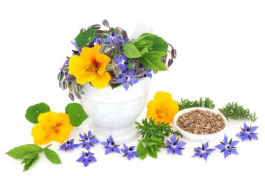 Soğuk algınlığı için bitkisel ilaç ve borage, nasturtium, kekik, ekinezi ve nane bitkisi içeren grip ilacı. Bronşiti, boğaz ağrısını ve öksürüğü tedavi eder. Bağışıklık güçlendirici, iltihap önleyici ve yüksek C vitamini..  