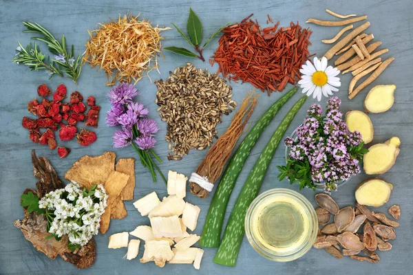 Bylinná Medicína Bylinkami Květinami Miskách Volné Pro Přírodní Rostlinolékařské Léčivé — Stock fotografie