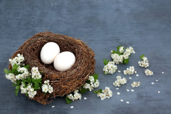 Las Aves Anidan Con Huevos Blancos Flores Flor Espino Sobre —  Fotos de Stock