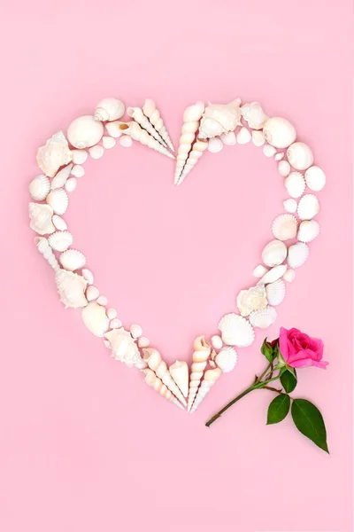 Valentines Day Heart Shaped Sea Shell Wreath White Seashells Pink — Stock Photo, Image