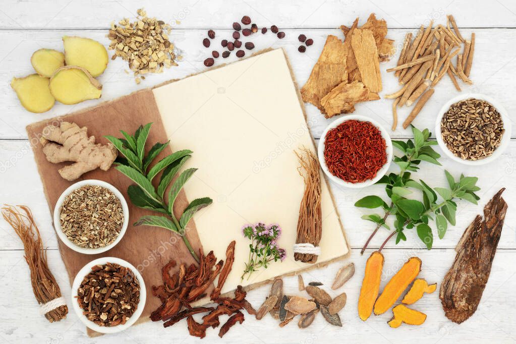 Herbal medicine preparation for immune system protection with fresh and dried herbs and spices with hemp notebook. Healthy food concept high in antioxidants, anthocyanins, vitamins and minerals. 