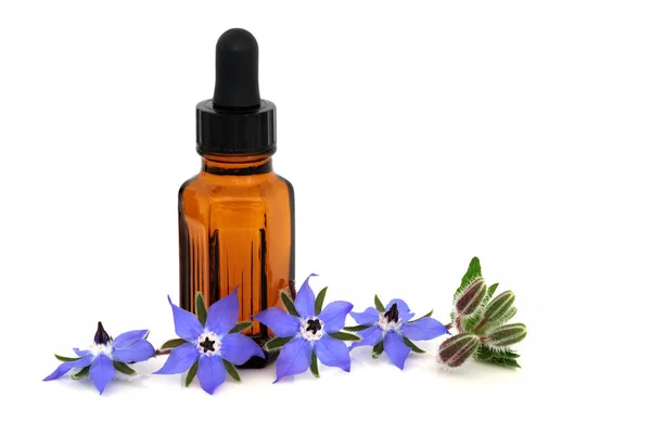 Borage Herb Naturopathic Herbal Plant Medicine Essential Oil Bottle Used — Stock Photo, Image