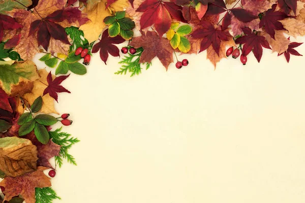 Herbstblatt Und Beerenobst Grenzen Auf Cremefarbenem Hintergrund Aneinander Natürliche Komposition — Stockfoto