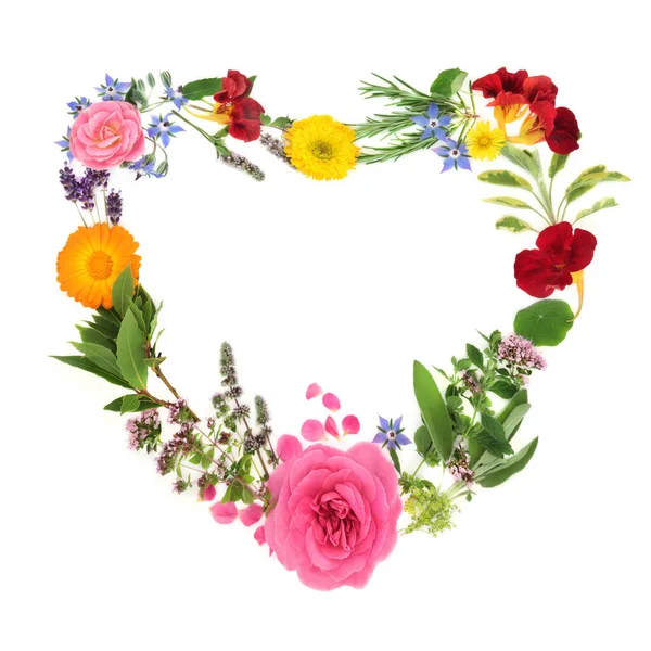 Heart Shaped Wreath Summer Herbs Flowers Used Naturopathic Herbal Plant — Stock Photo, Image