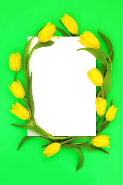 Gele Tulp Bloem Voorjaar Achtergrond Rand Abstract Ontwerp Voor Pasen — Stockfoto
