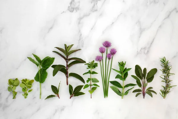 Herbes Fraîches Cuisine Jardin Cuisson Dans Une Ligne Pour Assaisonnement — Photo