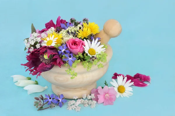 用于草药 食品调料和装饰的药草和可食用花卉的采摘 自然替代健康和健康概念 — 图库照片