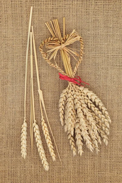 小麦の鞘のついたコーンドルリー 古代異教のドルイド不妊シンボルとヨーロッパでの収穫儀式の習慣で使用されます ロシアの背景では トップビュー — ストック写真