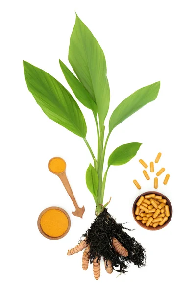 粉末とサプリメントカプセルと土壌中の根を持つウコンスパイス植物 天然の漢方薬や食品調味料に使用されます 抗炎症作用や抗酸化作用があり健康上の利点がたくさんあります — ストック写真