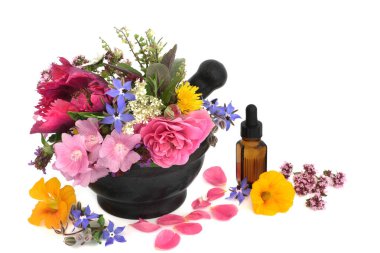 Bitkisel bitki ilaçları tedavileri için çiçekler ve bitkiler, baharat ve beyaz arka planda gerekli yağ şişesiyle besin dekorasyonu. Alternatif doğal sağlık ve refah kavramı. 