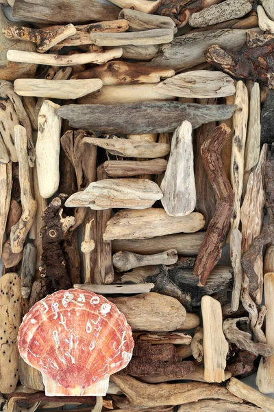 Driftwood Hřebenatky Mořské Mušle Abstraktní Přímořské Umění Pozadí Přirozené Složení — Stock fotografie