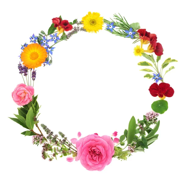Floral wreath with organic healing flowers and herbs. Used in herbal plant medicine, natural health care concept. Edible flowers and herbs used in food seasoning and decoration. On white.