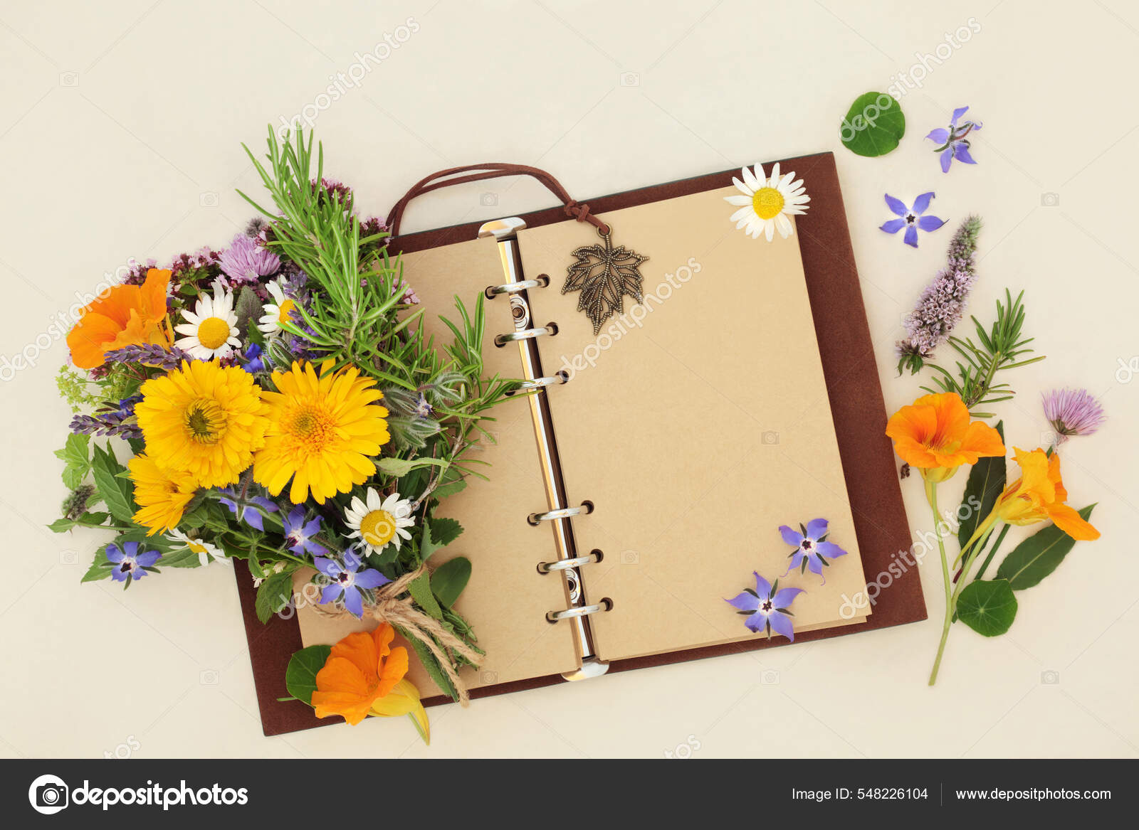 Imágenes de Diario de jardinería libres de derechos | DepositPhotos, image size:1600x1167