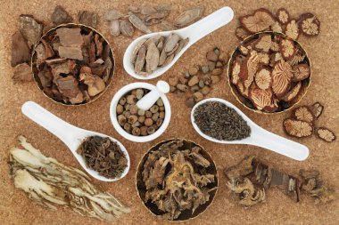 Alternatif sağlık hizmetleri için baharatlı ve otlu geleneksel Çin bitkisel ilaçlarına dayalı doğal bitki. Mantar arkaplanındaki üst görünüm.