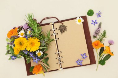 Bahçe planlamacısı için boş sayfaları olan eski bir deri defter ya da doğal bitki ilaçlarında kullanılan bitkiler ve çiçeklerle botanik doğa çalışmaları. Düz yatış, krema, kopyalama alanı.