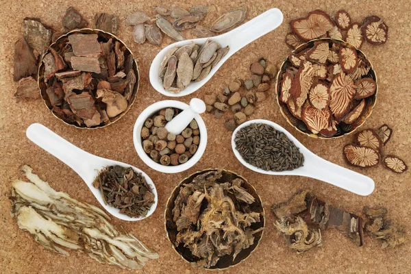 Medicina Herbal Tradicional China Basada Plantas Naturales Con Hierbas Especias — Foto de Stock