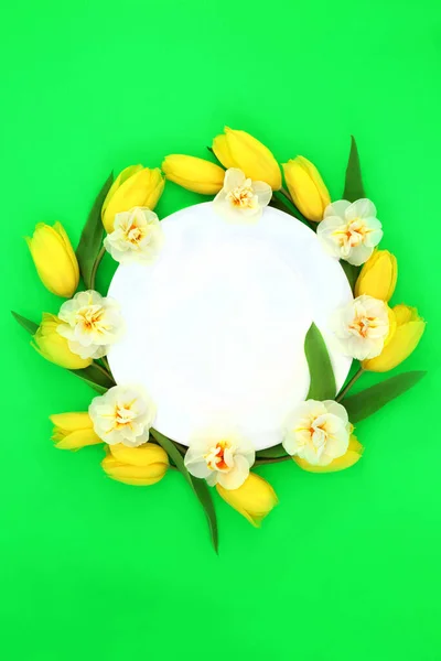 Voorjaarskrans Van Narcissen Tulpenbloem Abstract Ontwerp Voor Pasen Lente Moederdag — Stockfoto