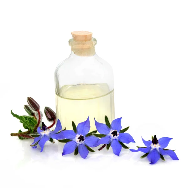 Borage Kruid Wilde Bloemen Met Glazen Olie Fles Gebruikt Aromatherapie — Stockfoto