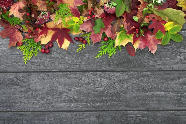 Herfst Thanksgiving Abstracte Natuurlijke Achtergrond Grens Rustiek Hout Met Kleurrijke — Stockfoto